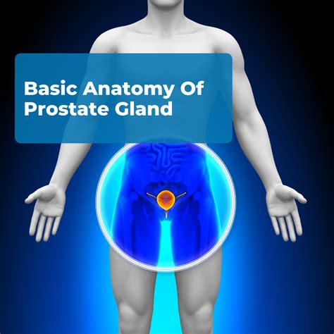 kianna dior prostate